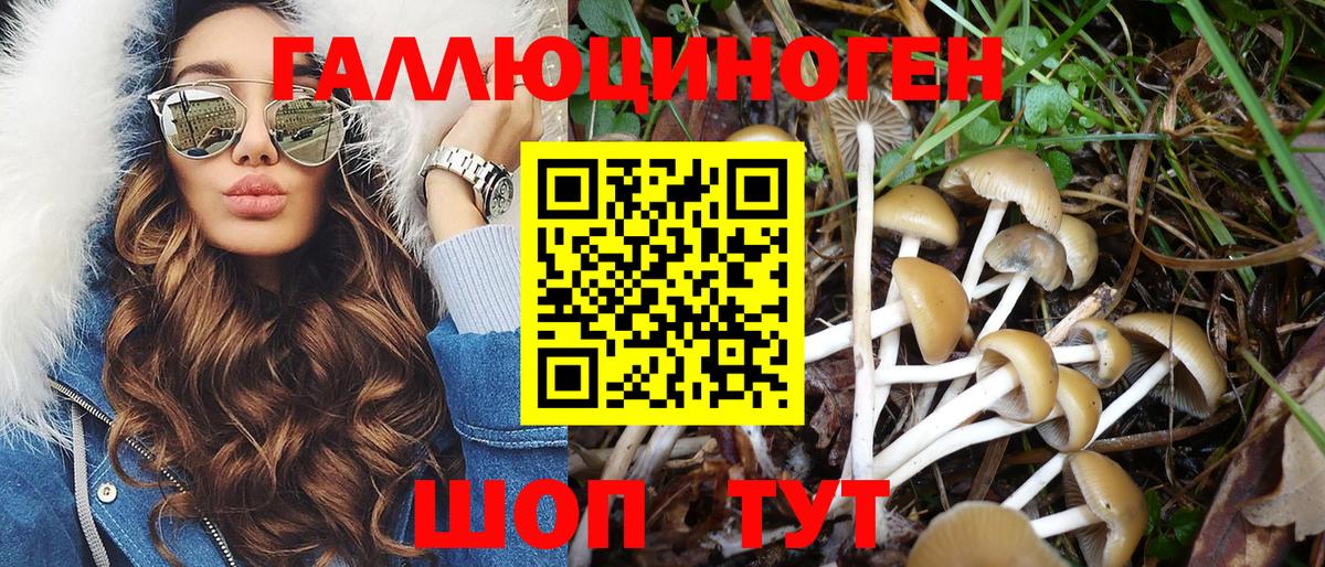 Галлюциногенные грибы ЛСД Ялта